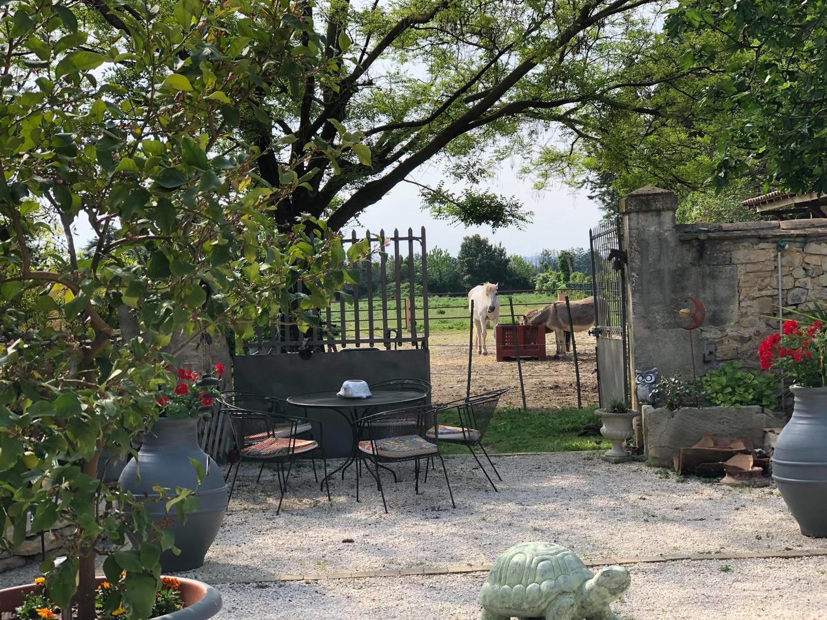Le Clos Des Aramons Bernis Exteriör bild